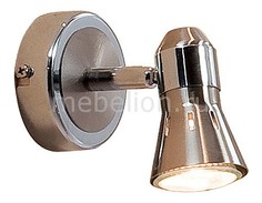 Спот Техно CL503511 Citilux