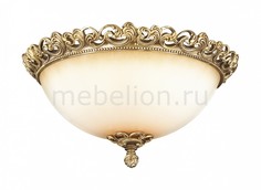 Накладной светильник Ponga 2431/3C Odeon Light
