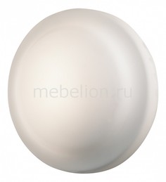 Накладной светильник Tavoy 2760/1C Odeon Light