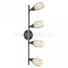 Спот Brindisi LSX-6709-04 Lussole