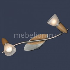 Спот Cisterino LSQ-6411-02 Lussole