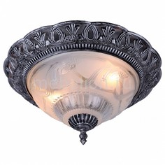 Накладной светильник Piatti A8001PL-2SB Arte Lamp
