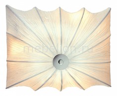 Накладной светильник Tela SL356.501.03 St Luce