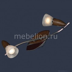 Спот Cisterino LSQ-6401-02 Lussole