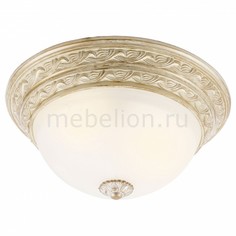 Накладной светильник Piatti A8013PL-2WA Arte Lamp