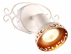 Спот Focus A5219AP-1WG Arte Lamp