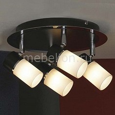 Спот Siliqua LSQ-6101-04 Lussole