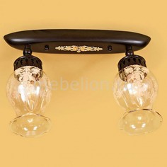 Спот Метафора CL413121 Citilux