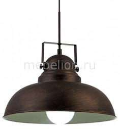 Подвесной светильник Martin A5213SP-1BR Arte Lamp