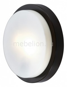 Накладной светильник Holger 2744/2C Odeon Light