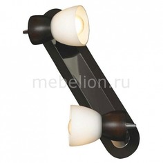 Спот Messina LSL-8201-02 Lussole