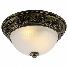 Накладной светильник Piatti A8010PL-2AB Arte Lamp