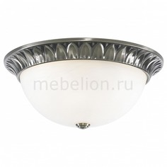 Накладной светильник Hall A7838PL-3AB Arte Lamp