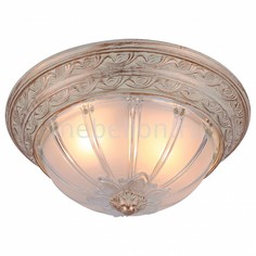 Накладной светильник Piatti A8014PL-2WA Arte Lamp