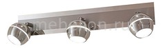 Спот Раймонд CL555531 Citilux