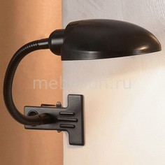 Настольная лампа офисная Roma LST-4214-01 Lussole