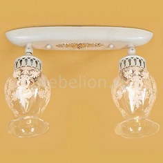 Спот Метафора CL413122 Citilux