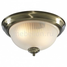Накладной светильник Aqua A9370PL-2AB Arte Lamp