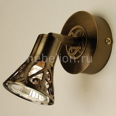 Спот Винон CL519513 Citilux
