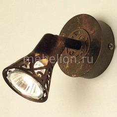 Спот Винон CL519514 Citilux