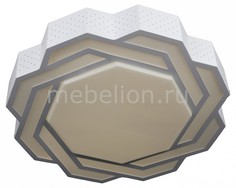 Накладной светильник OML-43607-40 Omnilux