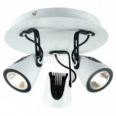 Спот Loft LSN-4101-03 Lussole