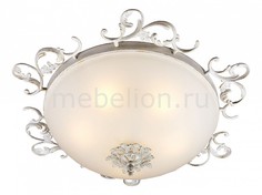 Накладной светильник OML-765 OML-76517-05 Omnilux