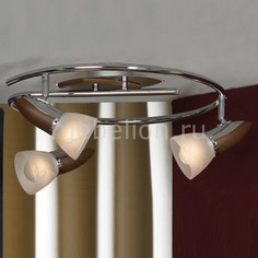 Спот Cisterino LSQ-6401-03 Lussole