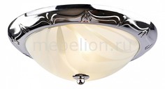 Накладной светильник Alta A3008PL-2CC Arte Lamp