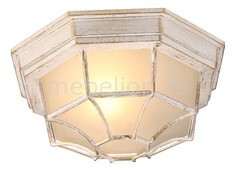 Накладной светильник Pegasus A3121PF-1WG Arte Lamp