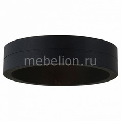 Накладной светильник SL562.401.01 St Luce