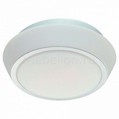Накладной светильник Bagno SL496.502.03 St Luce