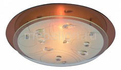 Накладной светильник Tiana A4043PL-2CC Arte Lamp