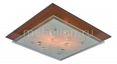 Накладной светильник Tiana A4042PL-2CC Arte Lamp