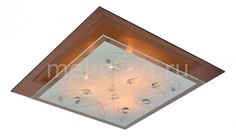 Накладной светильник Tiana A4042PL-3CC Arte Lamp