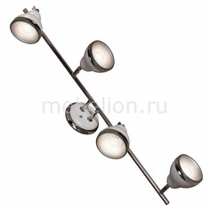 Спот LSN-6209-04 Lussole
