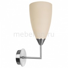 Бра WLL.401.01.01.NI+S.04.BG 33 идеи