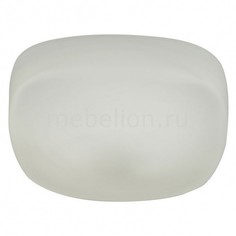 Накладной светильник Nuvola Aria 266/20PF-LEDWhite Id Lamp