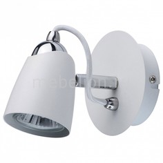 Спот Астор 5 545021301 Mw Light