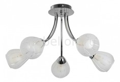 Потолочная люстра Fay TL3660X-05CH Top Light