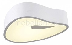 Накладной светильник OML-455 OML-45507-53 Omnilux