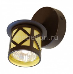 Спот Гессен CL536511 Citilux
