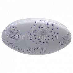 Накладной светильник Омега 325014501 Mw Light
