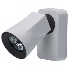 Спот Астор 4 545021001 Mw Light