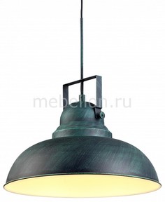 Подвесной светильник Martin A5213SP-1BG Arte Lamp