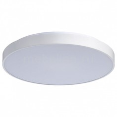 Накладной светильник Ривз 674013101 Mw Light