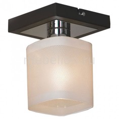 Светильник на штанге Costanzo LSL-9007-01 Lussole