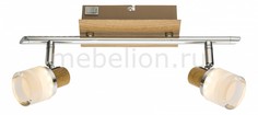Бра Alonis 56000-2 Globo