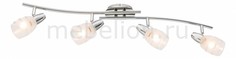 Спот Roy 54985-4 Globo