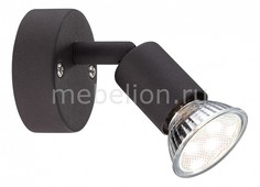 Спот Olana 57382-1L Globo